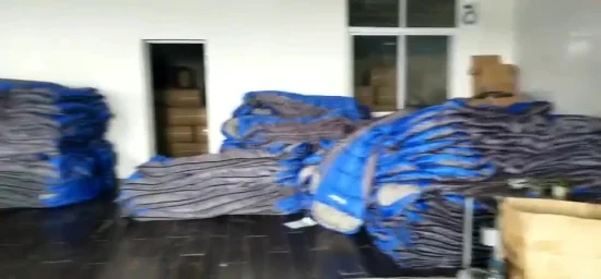 El fabricante modificó el saco de dormir impermeable para requisitos particulares de la momia que acampaba del clima frío